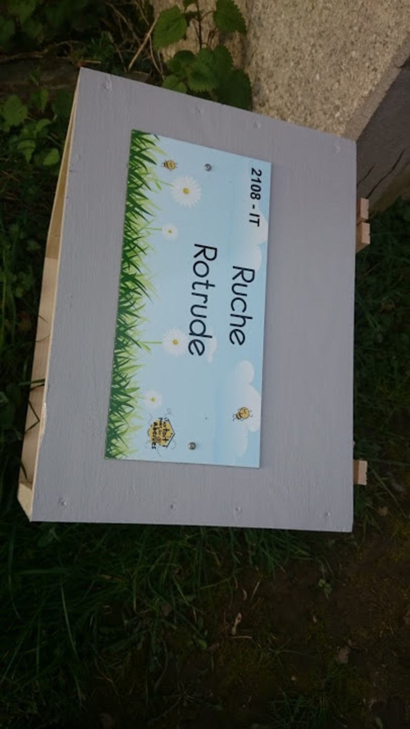 La ruche