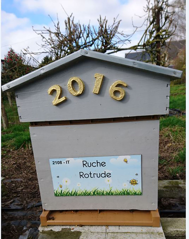 La ruche Rotrude