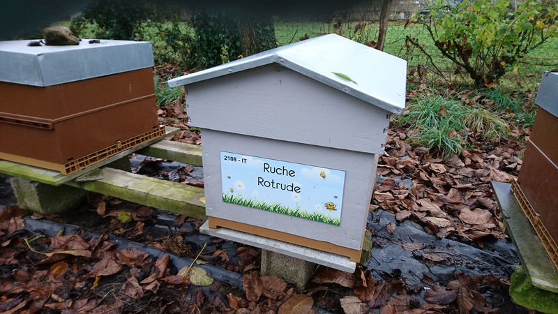 La ruche Rotrude