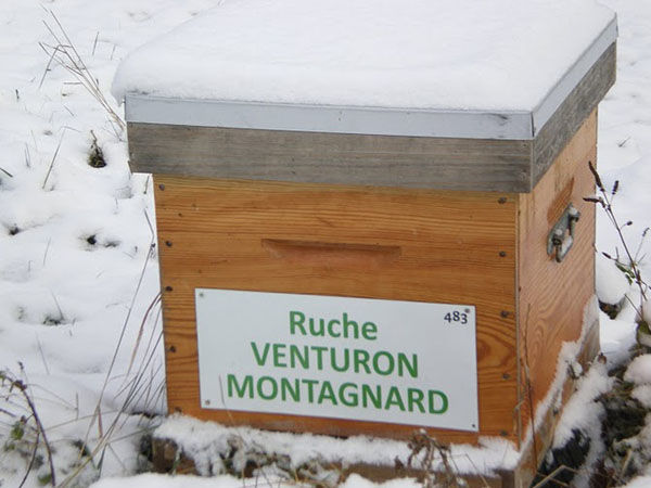 La ruche Venturon montagnard
