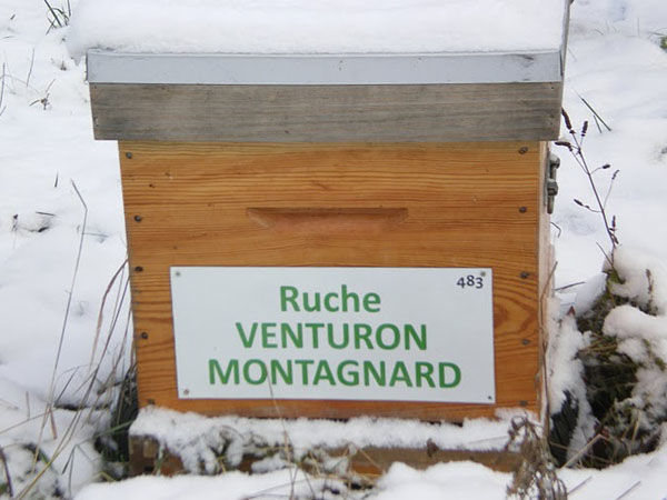 La ruche Venturon montagnard