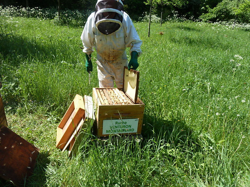 La ruche Venturon montagnard