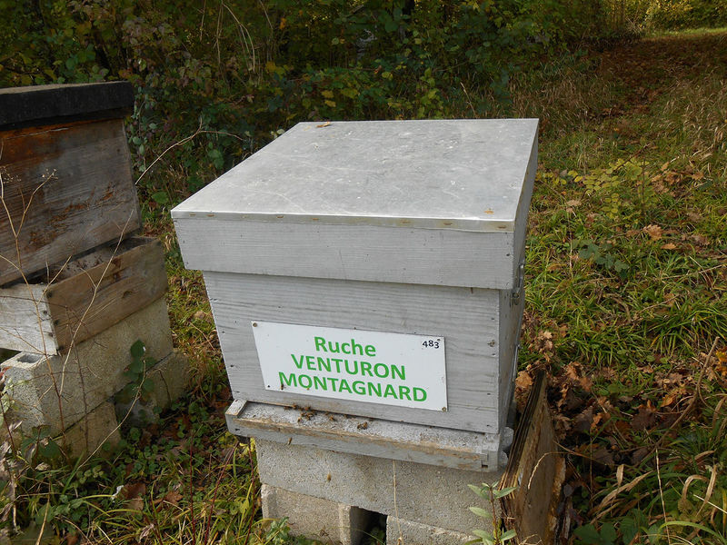 La ruche Venturon montagnard