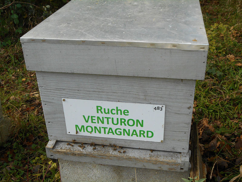La ruche Venturon montagnard