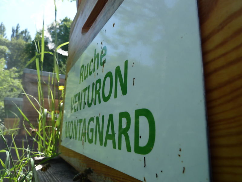 La ruche Venturon montagnard