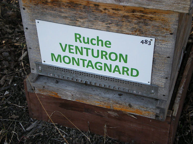 La ruche Venturon montagnard