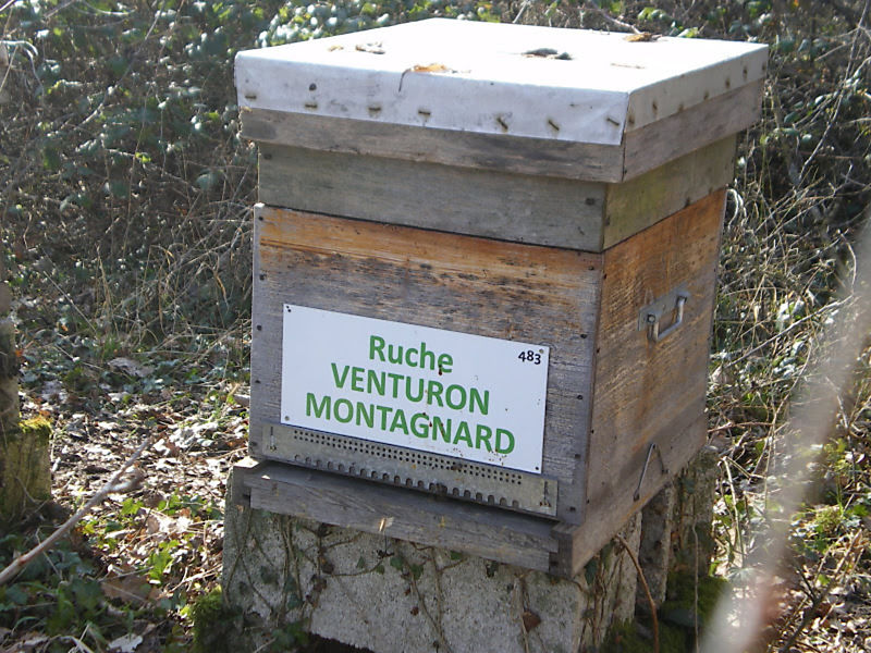 La ruche Venturon montagnard