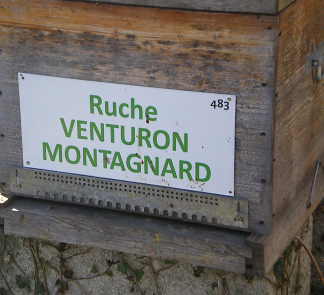 La ruche Venturon montagnard