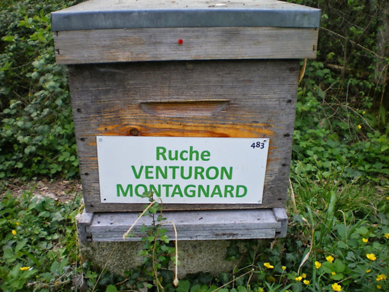 La ruche Venturon montagnard