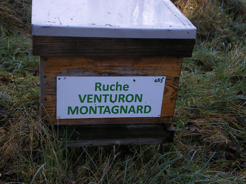 La ruche Venturon montagnard