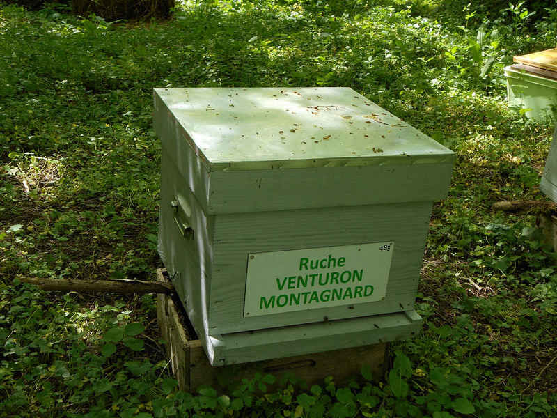 La ruche Venturon montagnard