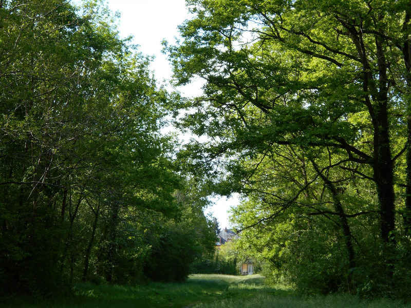 La ruche Venturon montagnard