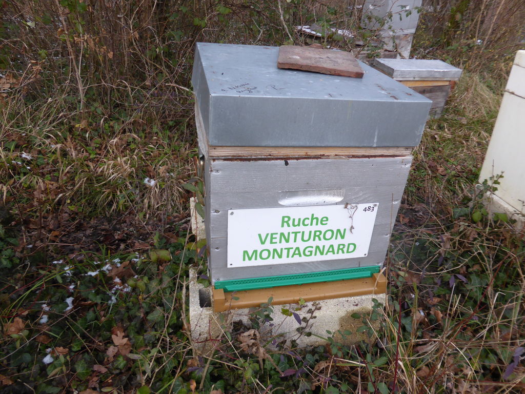 La ruche Venturon montagnard