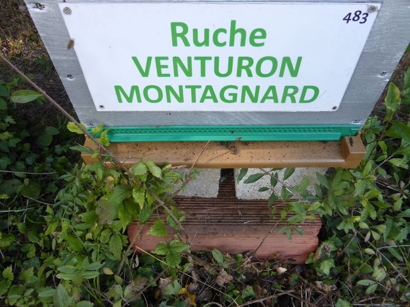 La ruche Venturon montagnard