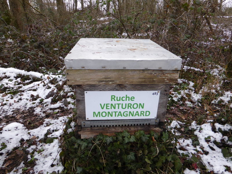 La ruche Venturon montagnard
