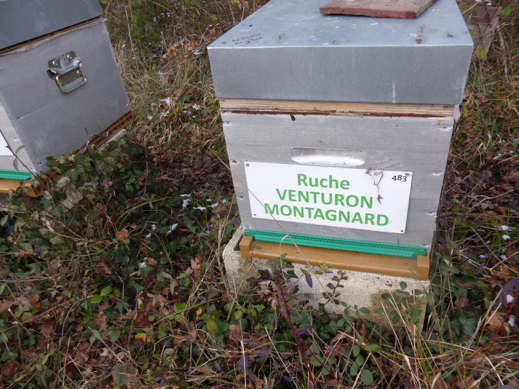 La ruche Venturon montagnard