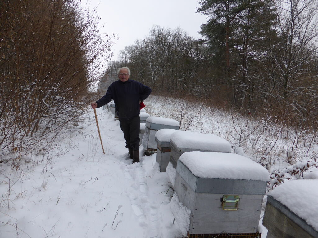 La ruche Venturon montagnard