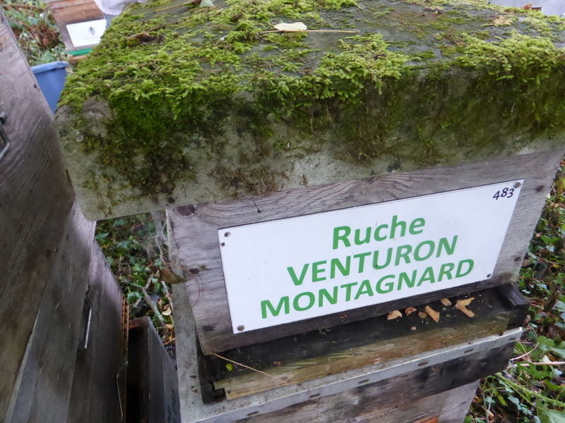 La ruche Venturon montagnard
