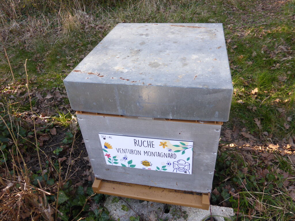 La ruche Venturon montagnard