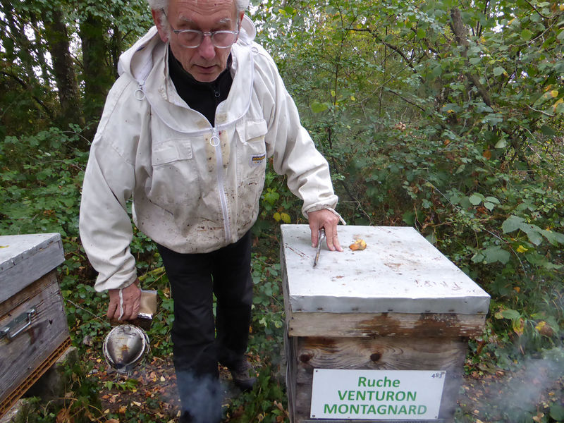 La ruche Venturon montagnard