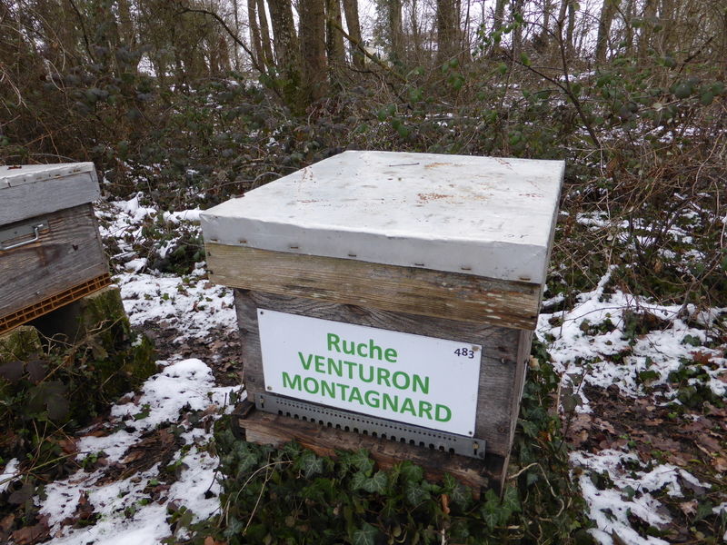 La ruche Venturon montagnard