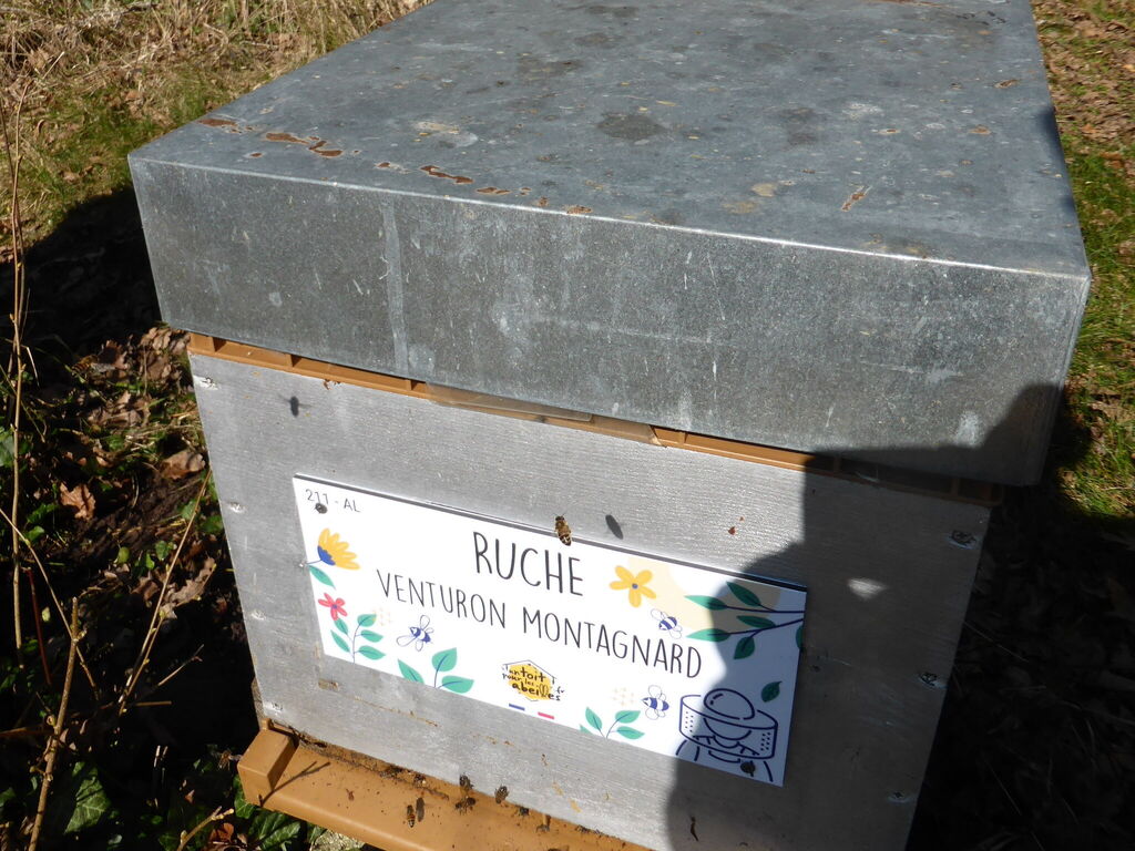 La ruche Venturon montagnard