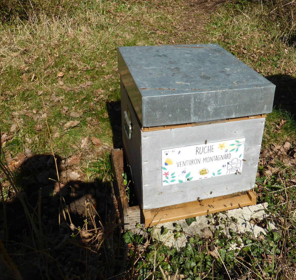 La ruche Venturon montagnard