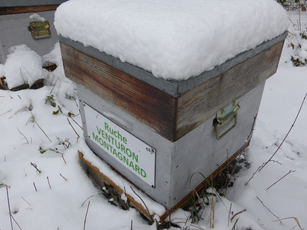 La ruche Venturon montagnard