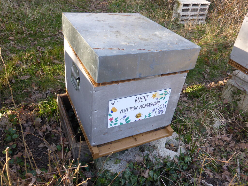 La ruche Venturon montagnard