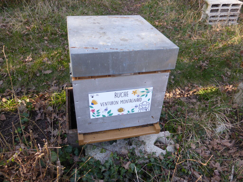 La ruche Venturon montagnard