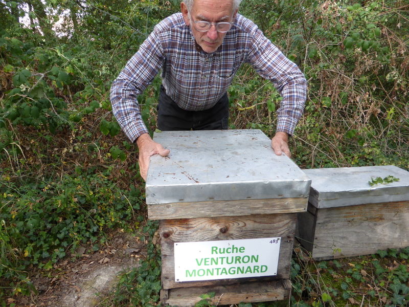 La ruche Venturon montagnard