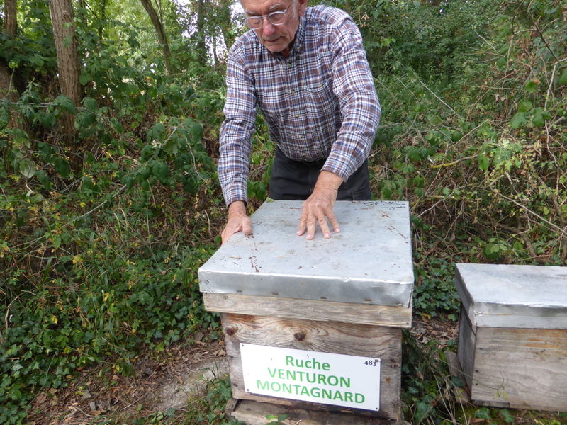 La ruche Venturon montagnard