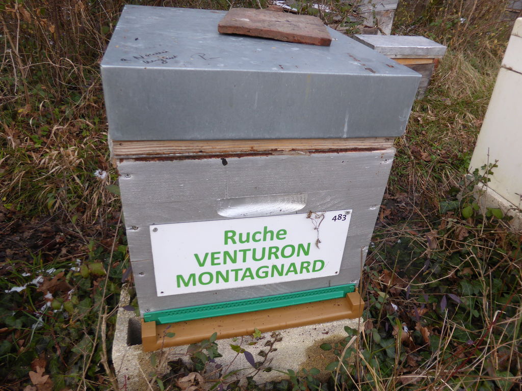 La ruche Venturon montagnard
