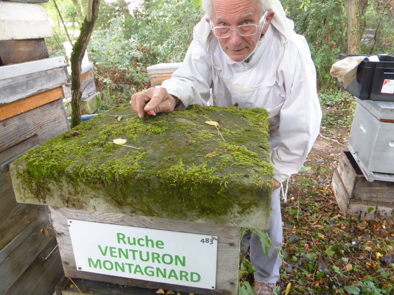 La ruche Venturon montagnard