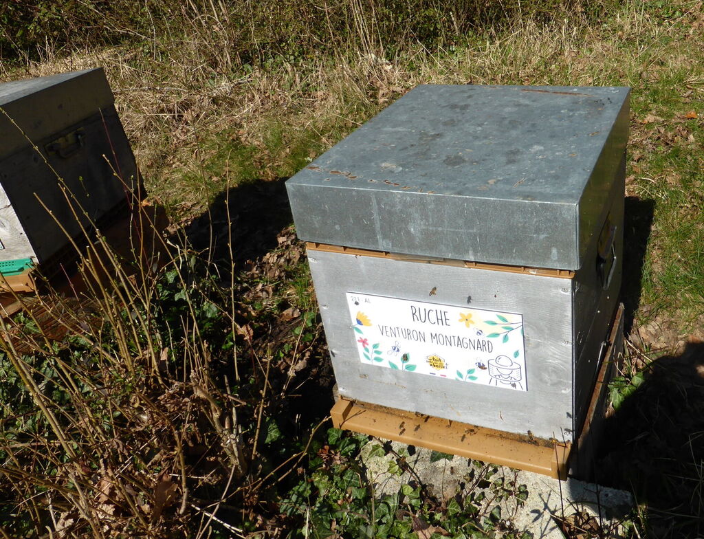La ruche Venturon montagnard
