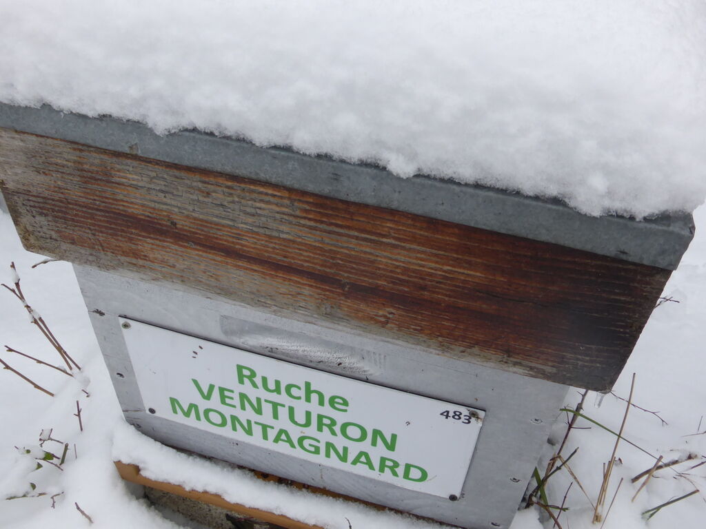 La ruche Venturon montagnard