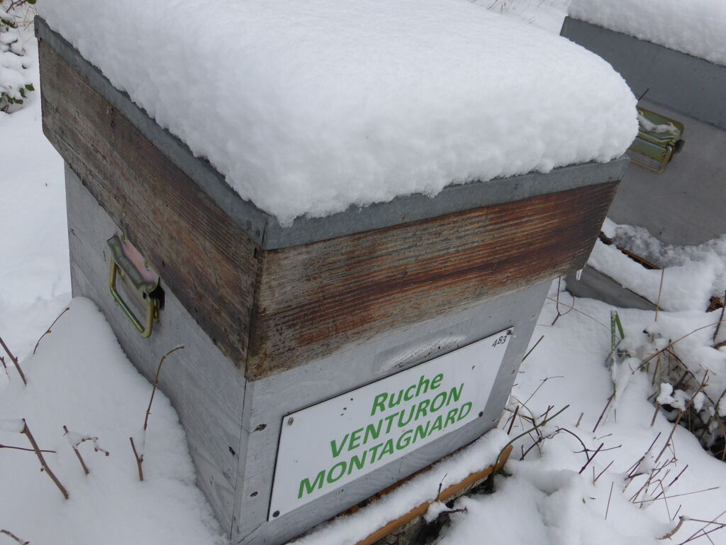 La ruche Venturon montagnard