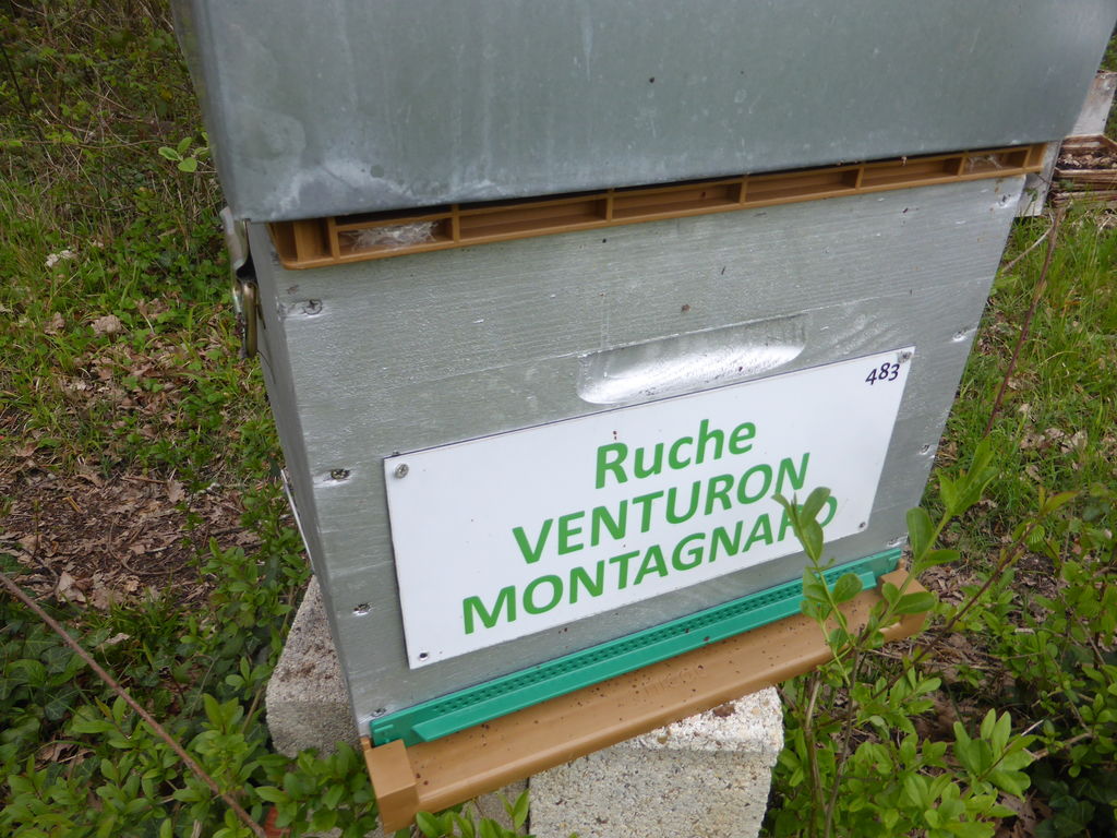 La ruche Venturon montagnard
