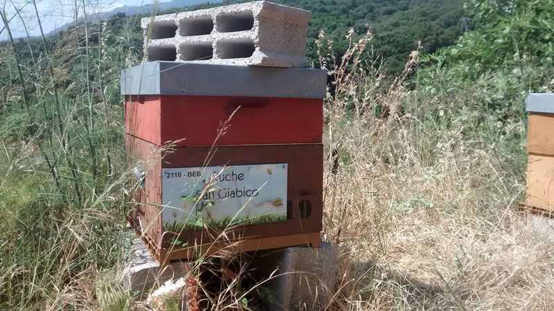 La ruche San Giabico