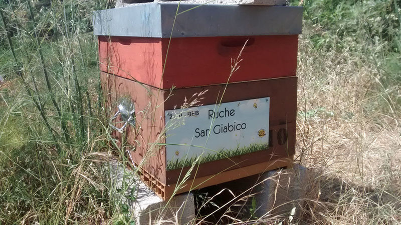 La ruche San Giabico