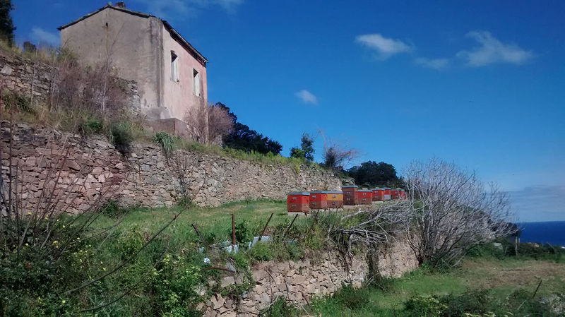 La ruche San Giabico