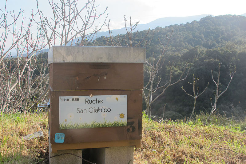 La ruche San Giabico