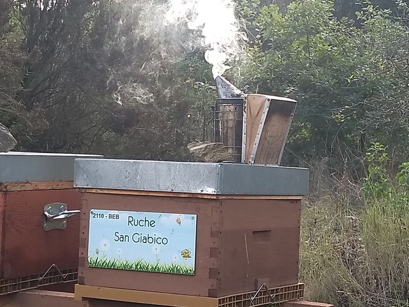 La ruche San Giabico