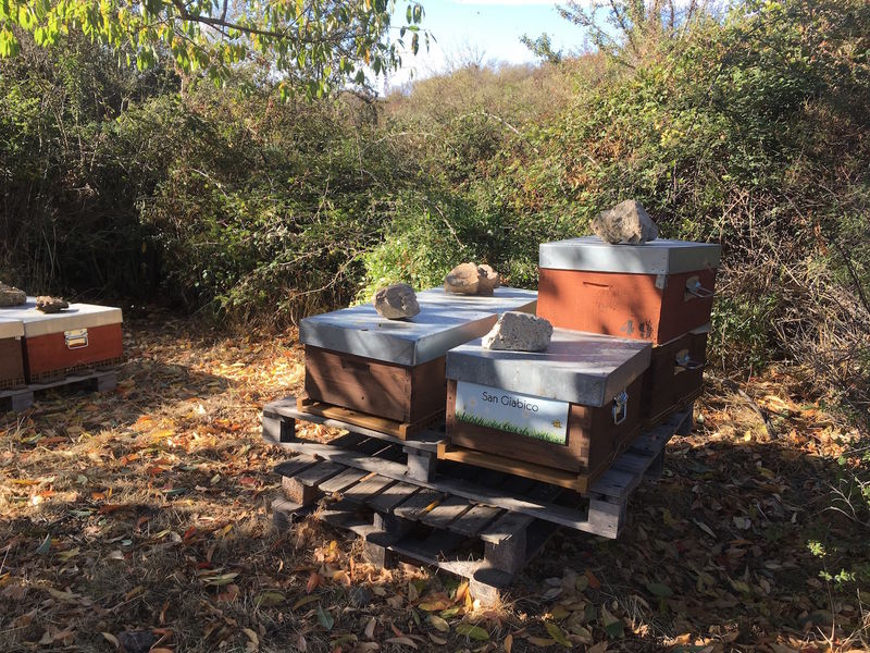 La ruche San Giabico