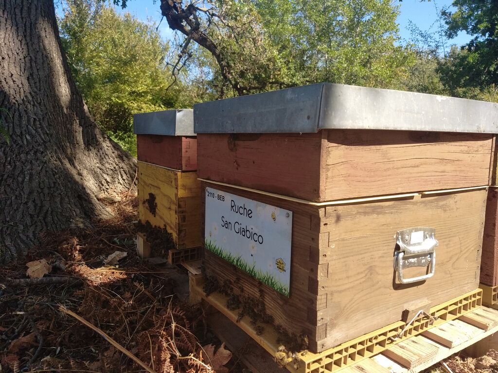La ruche San Giabico