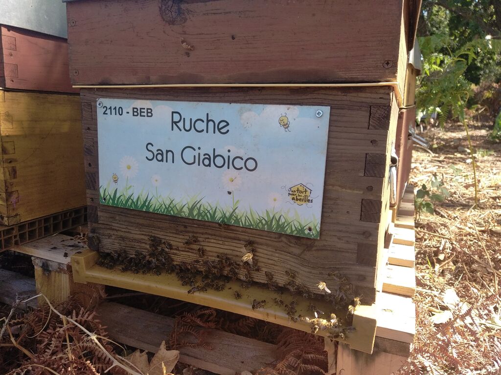 La ruche San Giabico