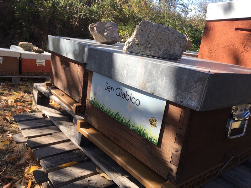 La ruche San Giabico