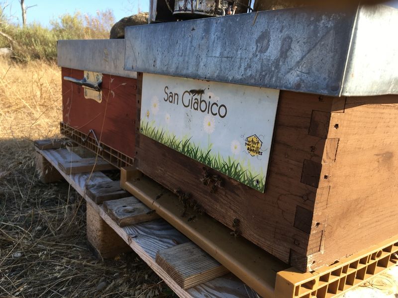 La ruche San Giabico