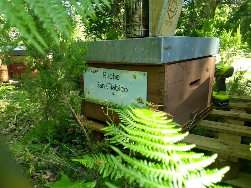 La ruche San Giabico