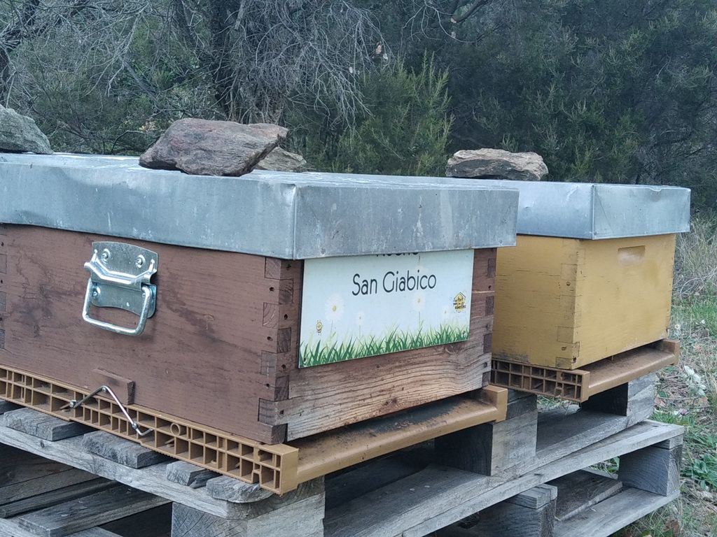 La ruche San Giabico